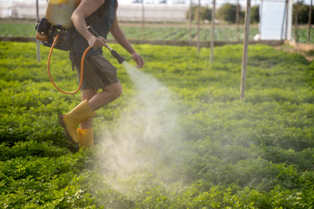 Best Best Pest Control Companies  in Prestonsburg, KY
