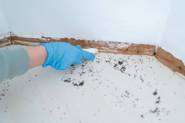 Best Commercial Pest Control Services  in Prestonsburg, KY
